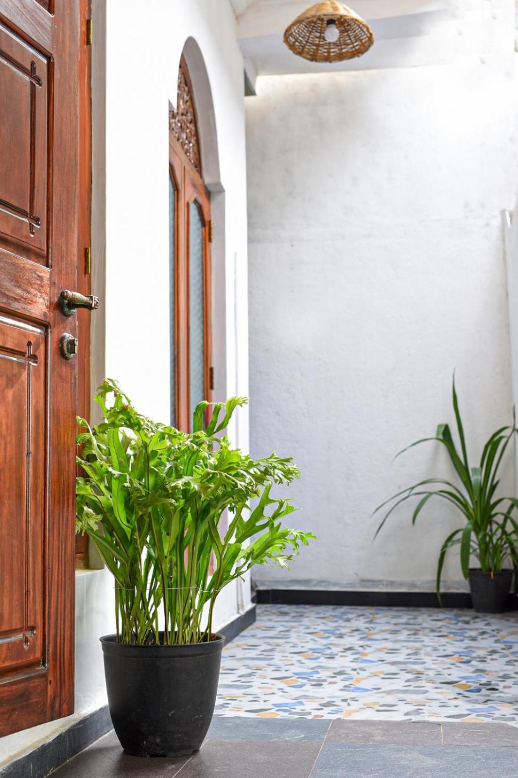 4Ty Two Homestay Galle Extérieur photo