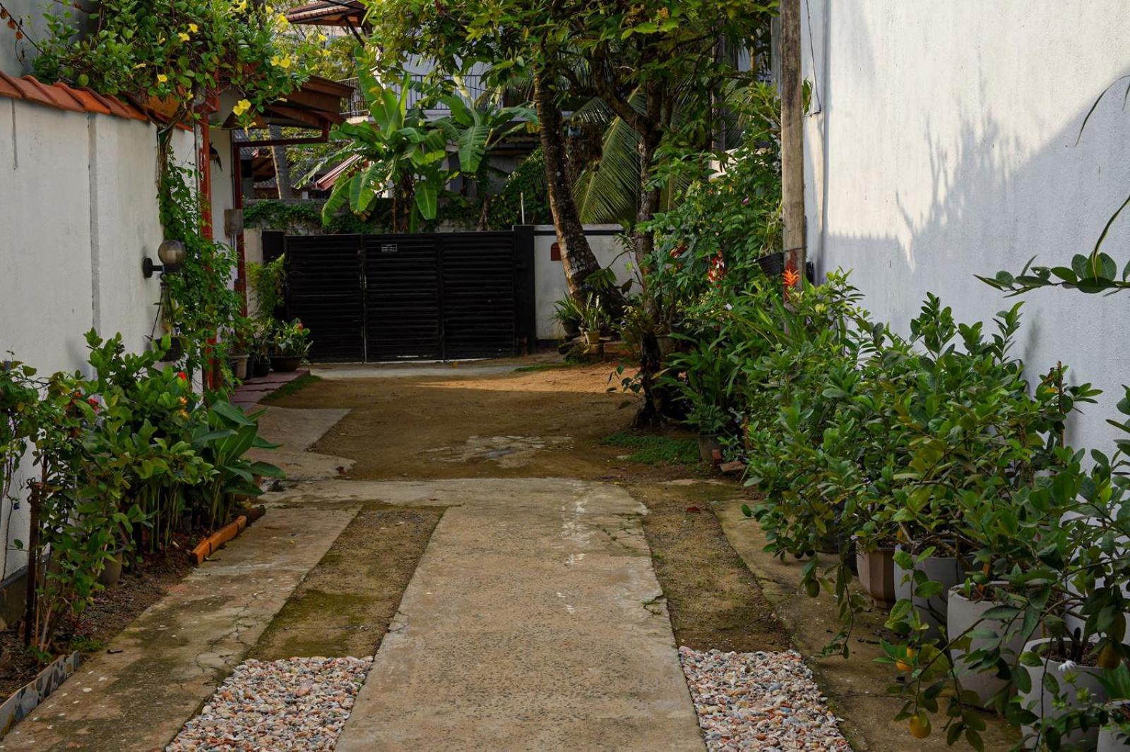 4Ty Two Homestay Galle Extérieur photo