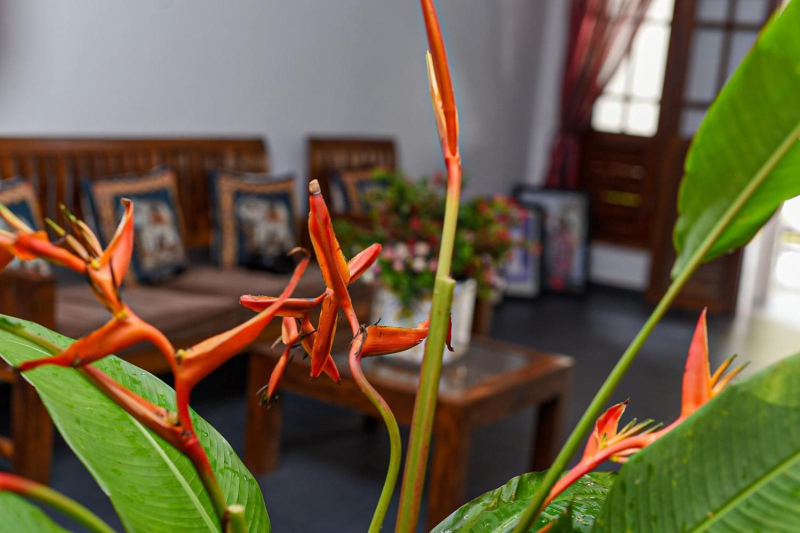 4Ty Two Homestay Galle Extérieur photo